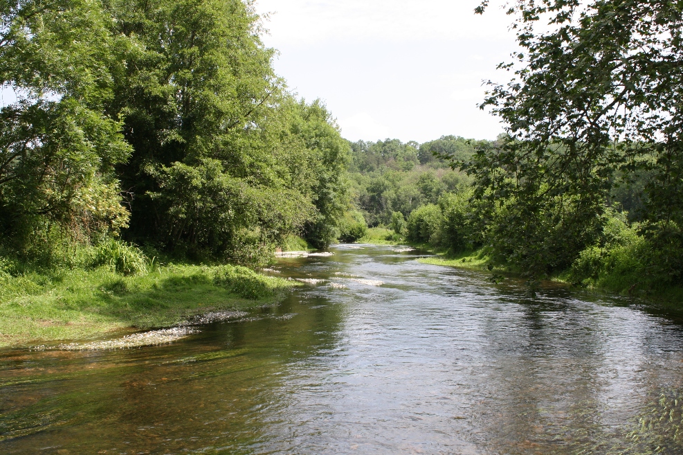 La rivière Le Serein