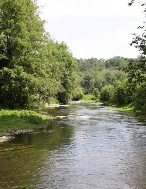 La rivière Le Serein